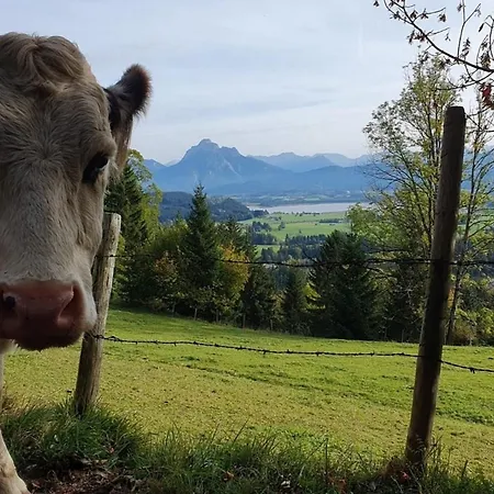 Alpenblick 5, Bergblick Pur Im Allgaeu Apartmán Halblech